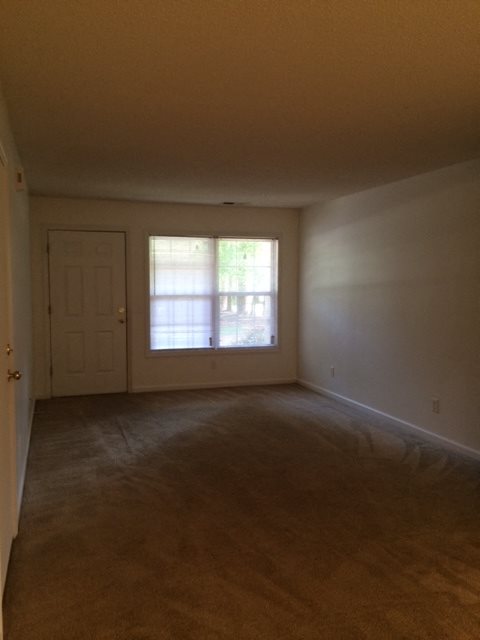 Gallery Photo 3
